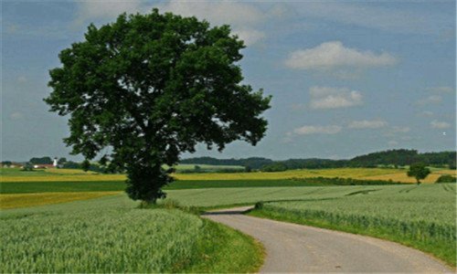 二2019年楚雄彝族火把节