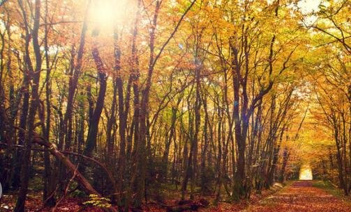 二云台山景区天气