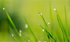 西安达内-西安达内科技怎么样