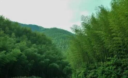 二象山森林公园住宿