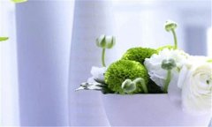 李东旭李多海-李东旭家中李多海照片