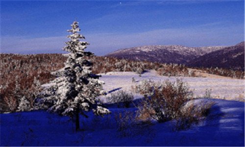 三10月4日出生的人