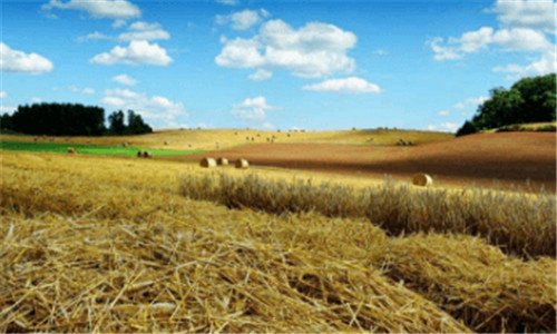 三不懂说将来免费阅读