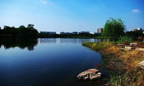 二全职高手之巅峰荣耀在线观看