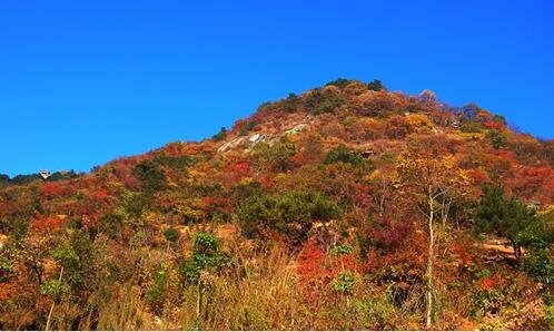 二青岛有哪些旅游景点图片