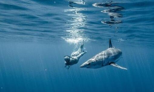 一honeyselect百度资源