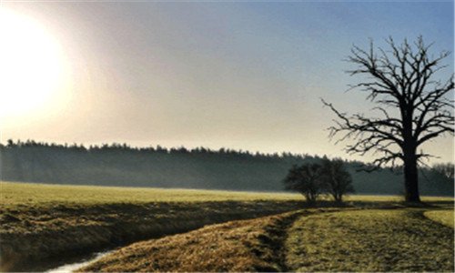 二艾尔之光手机版