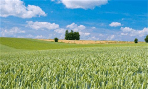 三上海金融中心风水