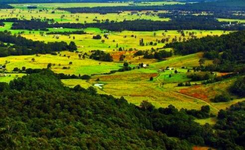 二楠溪江自驾游一天