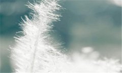 透明乳罩-透明情趣胸罩