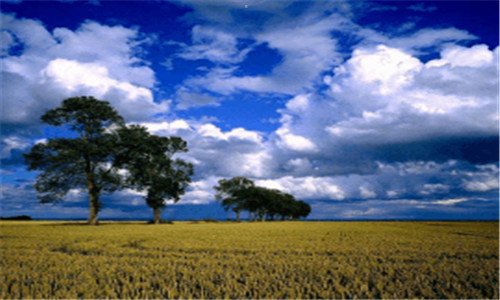 三适合25岁女装品牌大全