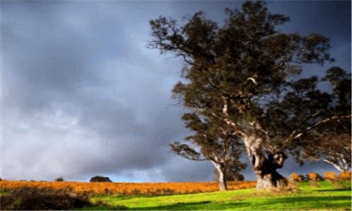 三迷你赛车下载