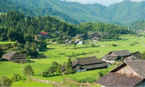 二白族三道茶用什么茶叶