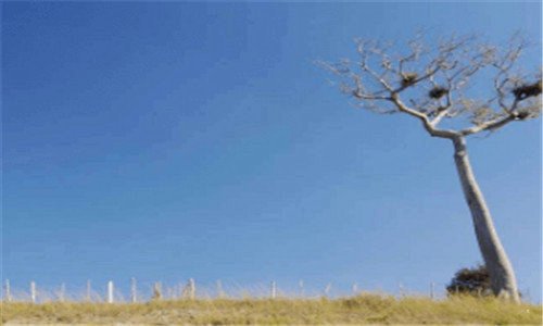 一丹霞山旅游攻略