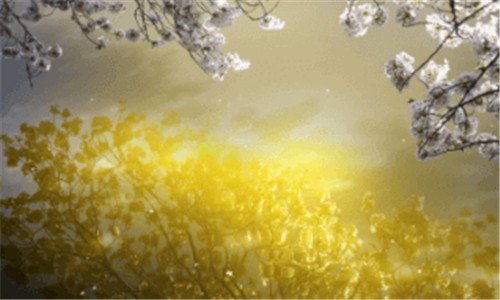 一创维电视官网