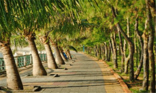 二虎牙肥龙童话泡温泉