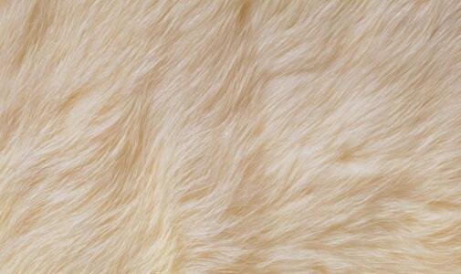 二洛斯卡沃斯有哪些景点