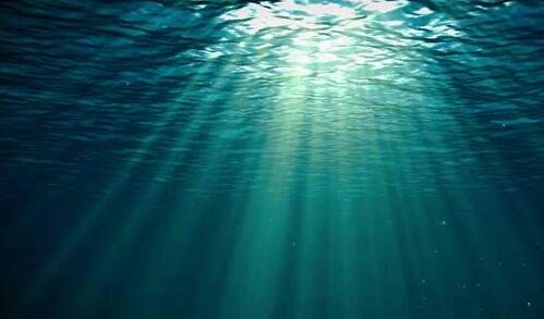 二正宗鸡汤面的做法大全