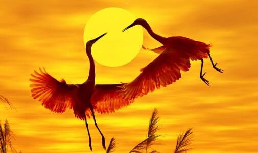 三徐汇滨江大道登陆