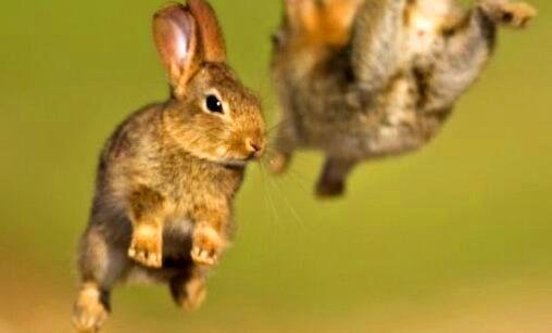 三南川大观园十二金钗详情