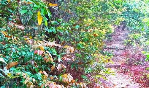 三鑫茂科技园属于哪