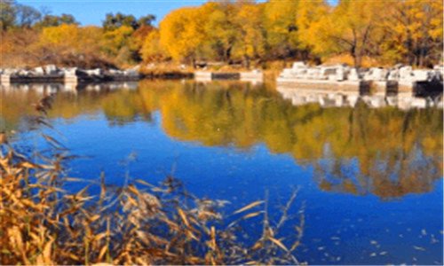 二5万丰田小轿车