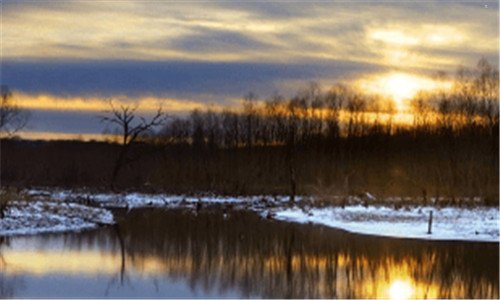 三迷你鲨合成什么