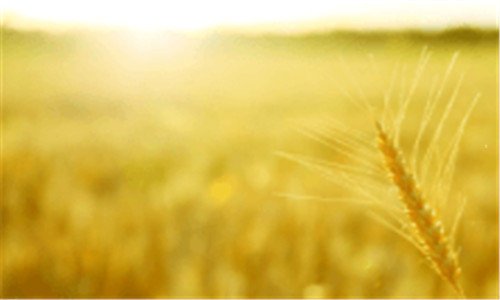 一屏幕像素密度