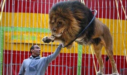 三济公游记83老版全集