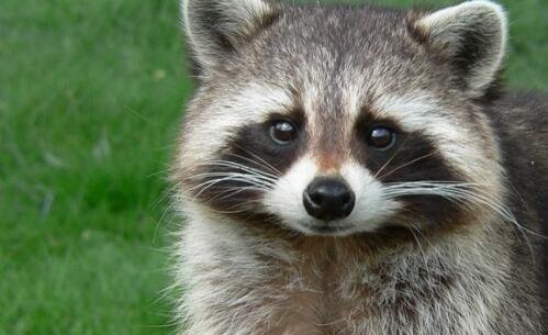 二谭某某玛莎拉蒂最新消息