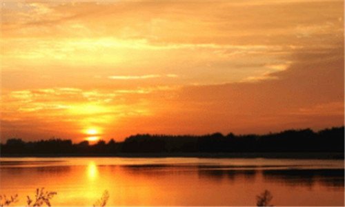 二wth缩写什么意思