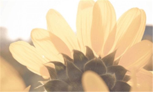 三2018年1月新番