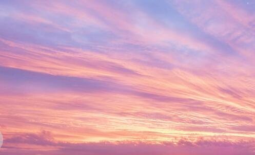 二一本护照可以去几个国家