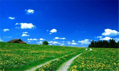 二日产s13多少钱