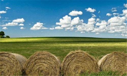 二佳能单反全部型号