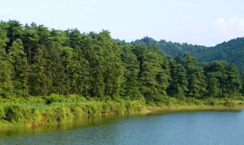 三西安翠华山景区官网