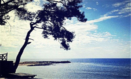 二为什么不要找博山人