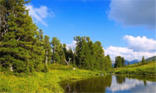 二汽车换了前桥对车有什么影响