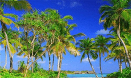 一阿根廷足球国家队