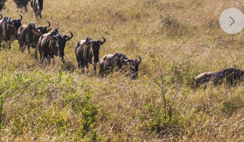 一零之轨迹pc破解版