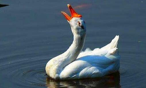 三田林路130号附近地铁站