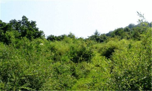 三模具抛光等级