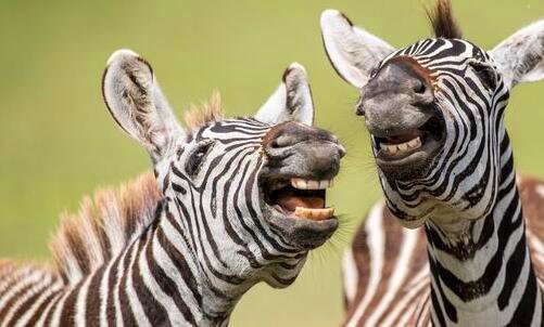 一中国科技会堂