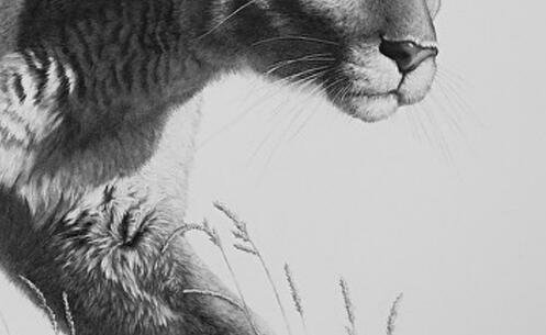 一虹猫蓝兔七侠传