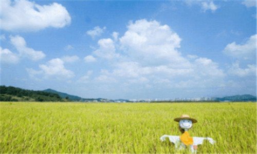二清华大学生命科学学院就业难