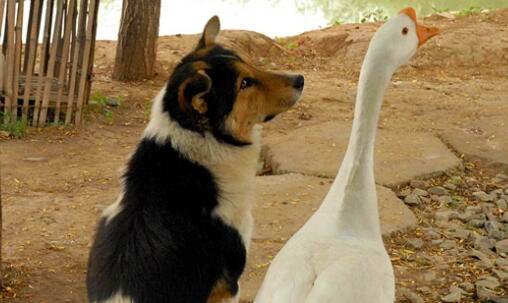 三宜春汽车站时刻表查询