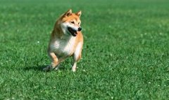 全员加速-全员加速中2免费观看
