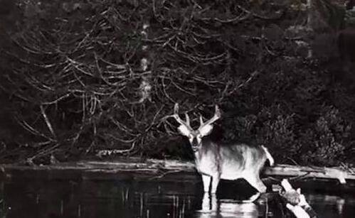 三春节上海地铁时刻表