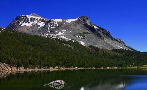 二南昌微信新茶