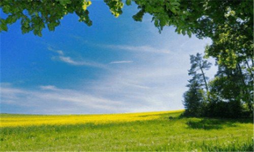 三大铁狮酒42度500ml价格